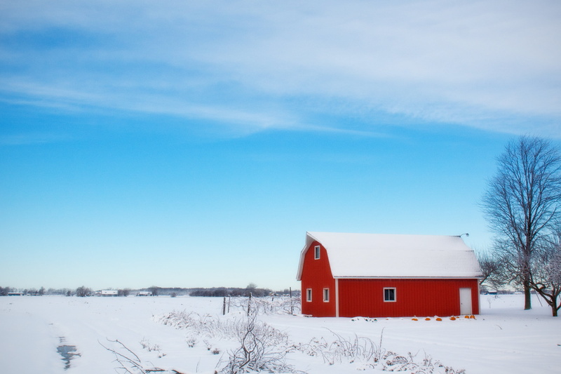 field, cold, environment, tranquility, built structure, frozen, 2K, scenics, cottage, house, red, farm, tree, nature, no people, winter, countryside, beauty in nature