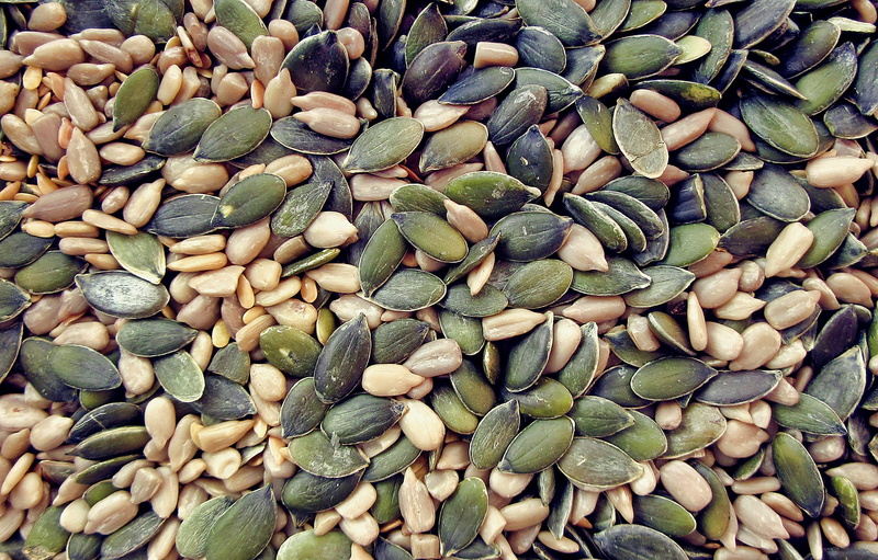 freshness, nature, flower, no people, pebble, ocean, vegetation, blossom, 2K, plant, yard, vegetable, outdoors, backyard, day, bean, nut, sea, produce