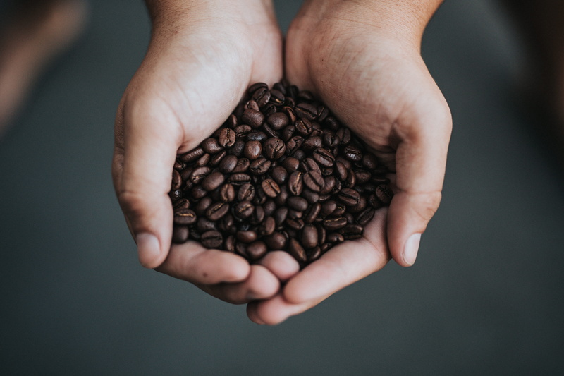 beans, flax, coffee - drink, freshness, hands cupped, vegetable, close-up, abundance, indoors, finger, plant, produce, grey, wheat, directly above, lentil