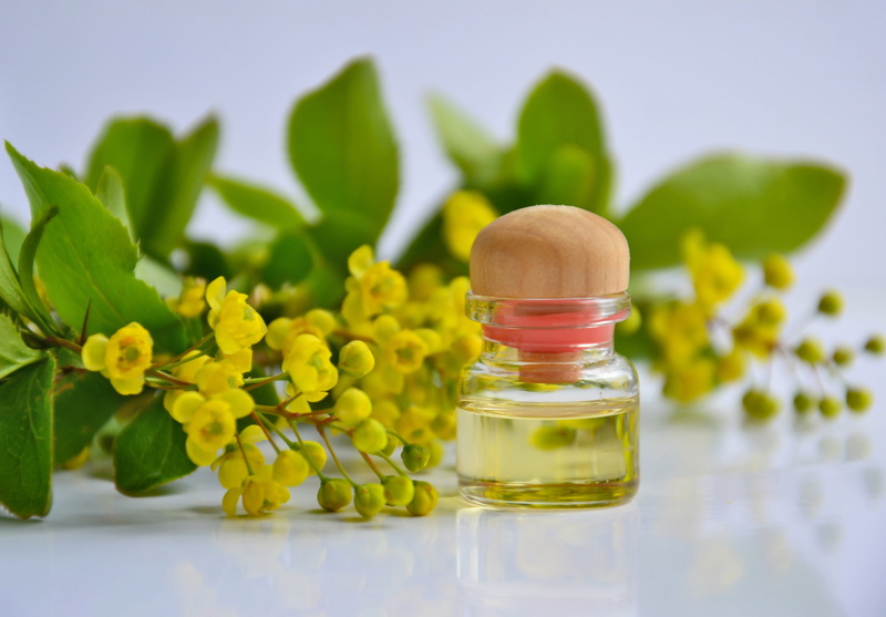 wellbeing, glass bottle, aromatherapy, flowering plant, leaf, science, barberry, flowers, oil, healthcare and medicine, herbal medicine, herb, plant, aroma