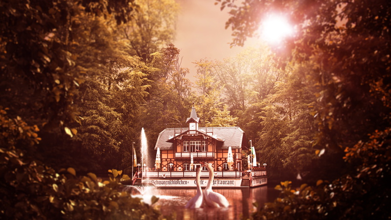 Couple, Cafe, Sun light, 5K, 5K, Lake, Swans, Restaurant