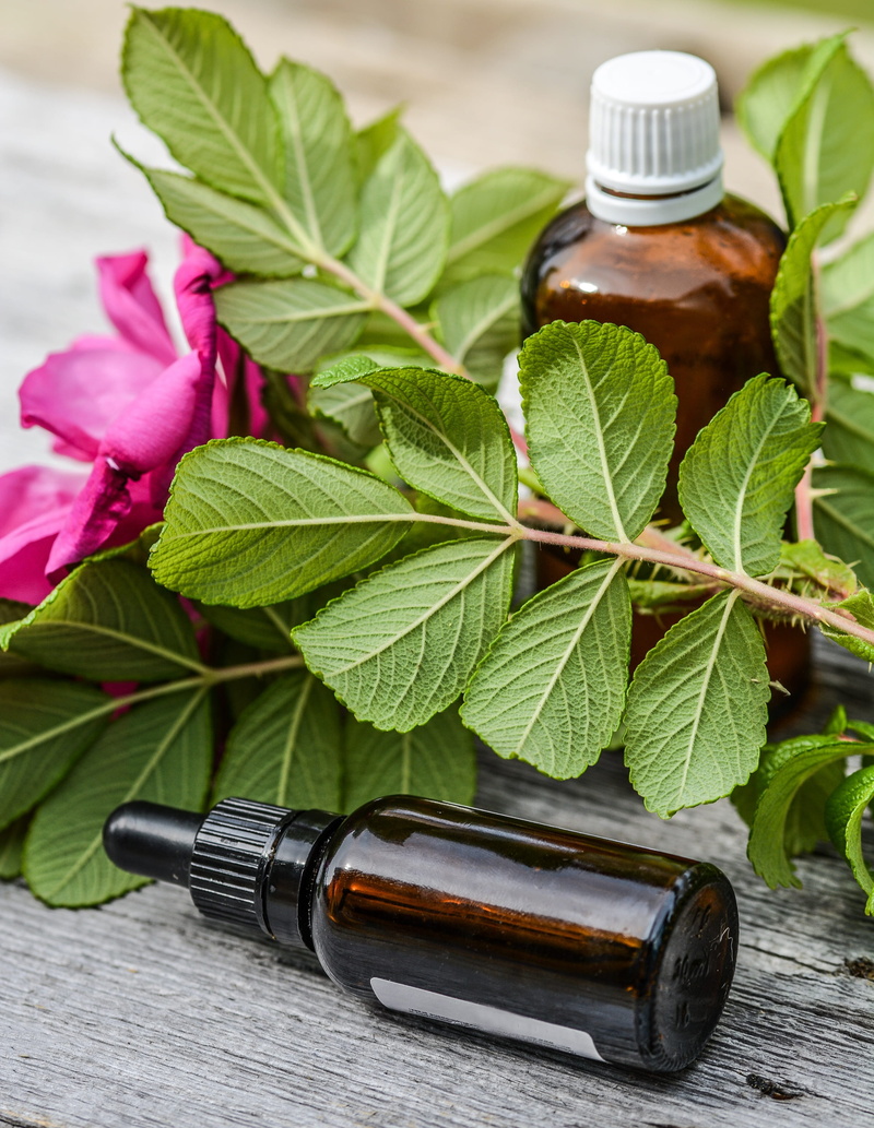 food and drink, 2K, relax, rose, treatment, herb, scent, green color, oil, fragrance, still life, bottle, care, alternative, plant, glass, flower, relaxation
