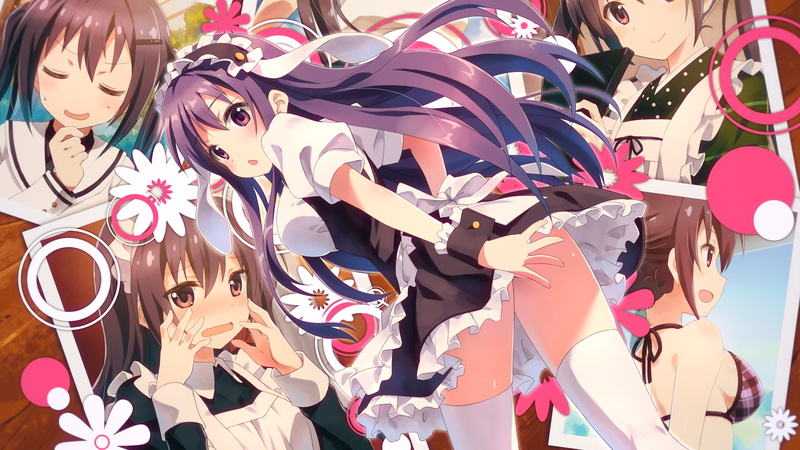 for sale, blue hair, design, 4K, day, representation, Anime, abundance, art and craft, multi colored, choice, animal representation, tedeza rise, no people