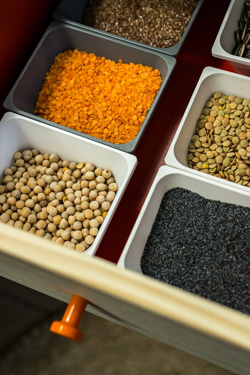 legume, freshness, lentil, seed, spice, variation, multi colored, vegetarian food, vegetable, container, high angle view, food, Containers, bean, chick-pea