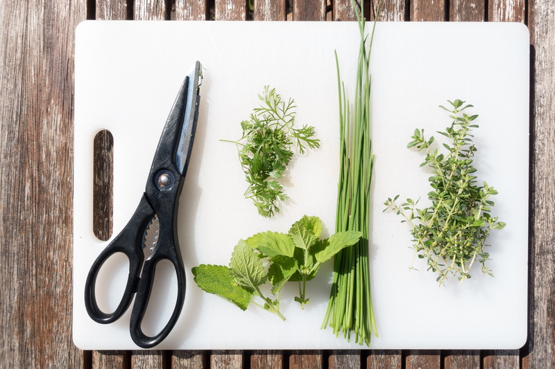 four, high angle view, cook, no people, wooden table, green color, plant part, garden, indoors, food and drink, garden table, preparation, spices, freshness