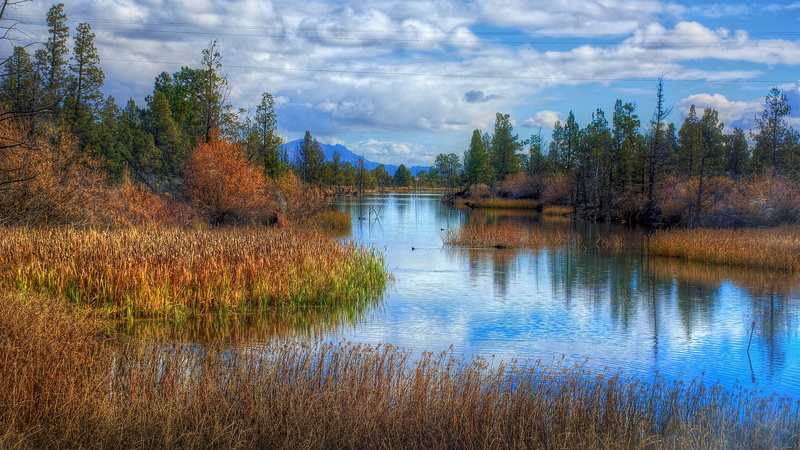outdoors, reflection, tree, tranquil scene, lake, autumn, cloud - sky, nature, land, 8K, environment, water, non-urban scene, beauty in nature, grass