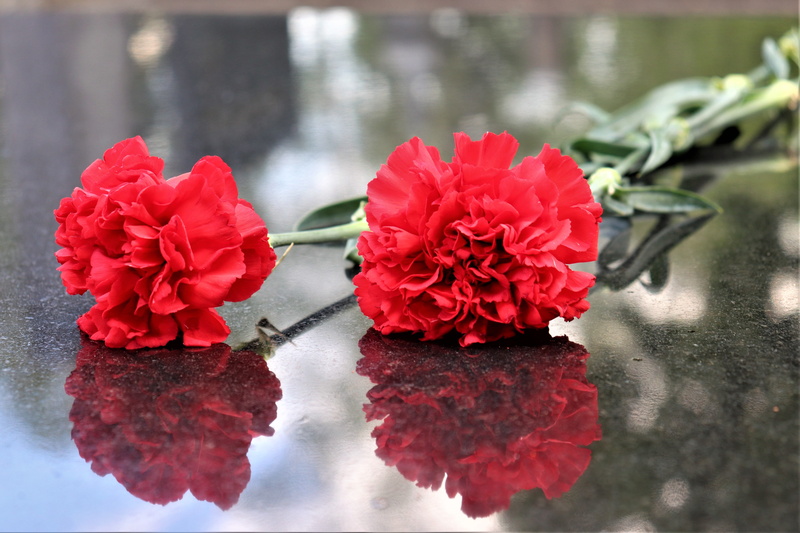 black marble, petal, close-up, 5K, decoration, vulnerability, reflection, flower, focus on foreground, no people, fragility, day, nature, outdoor, cemetery