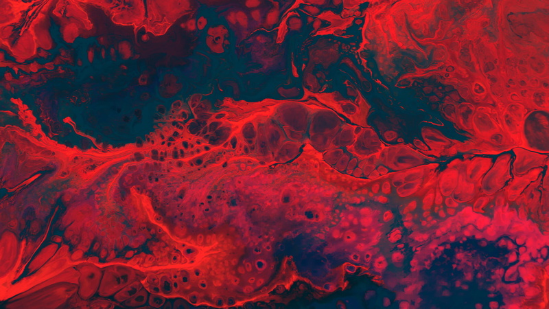 magnification, blood, texture, indoors, no people, water, detail, red, pattern, science, healthcare and medicine, abstract, microbiology, nature, biology