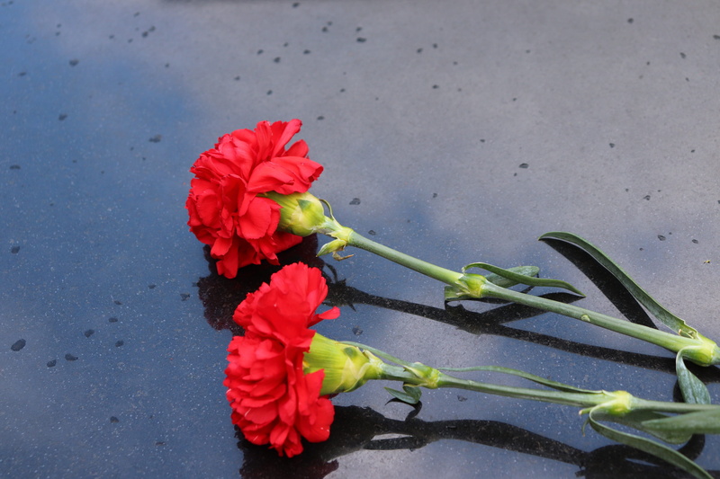 two red carnations, flower head, inflorescence, beauty in nature, nature, no people, black marble, flowering plant, day, fragility, sepal, freshness, symbol