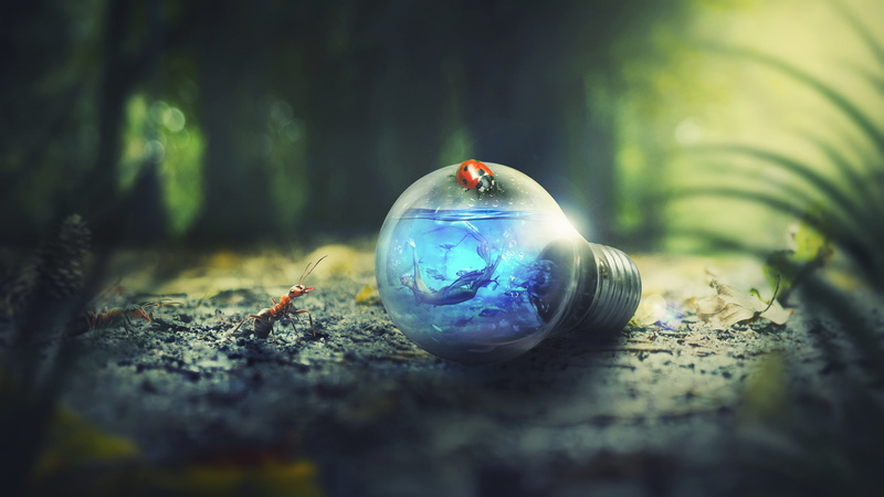single object, plant, day, tree, land, Mermaid, k, outdoors, 4K, solid, close-up, selective focus, no people, transparent, blue, marbles, surface level