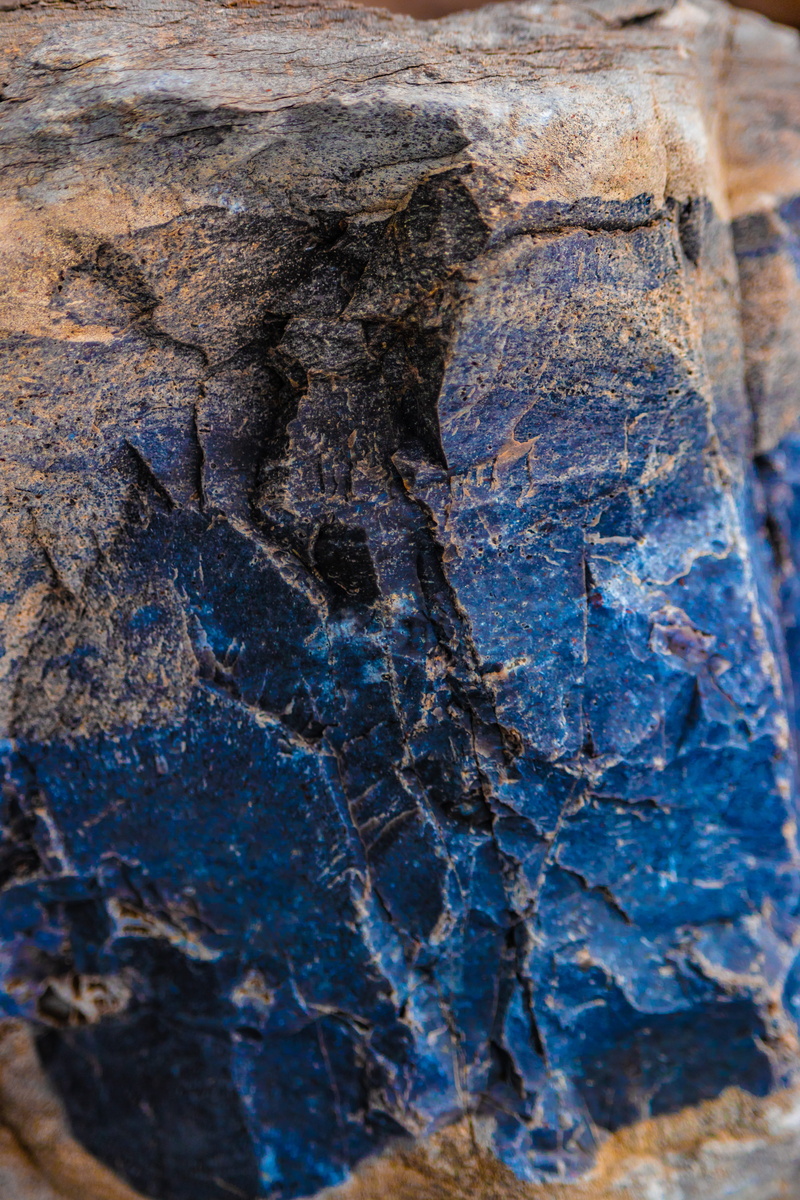 science, outdoors, material, stones, geology, backgrounds, rock - object, animal, history, mineral, rock, animal themes, textured, marble, day, no people