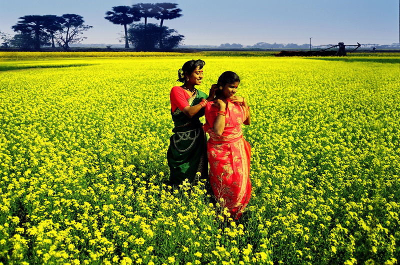 outdoors, bangladesh, rural scene, females, lifestyles, flower, togetherness, village, nature, real people, leisure activity, landscape, beauty in nature