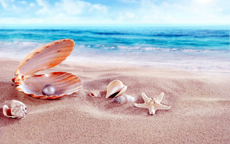 beads, sandy, shells, 1080P, sea, beach, hd