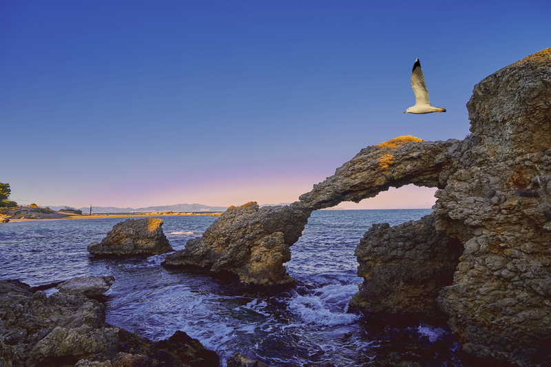 girona, landscape, lescala, animal, beauty in nature, costa brava, catalonia, animal wildlife, sea, cataluña, 5K, animal themes, nature, rock formation