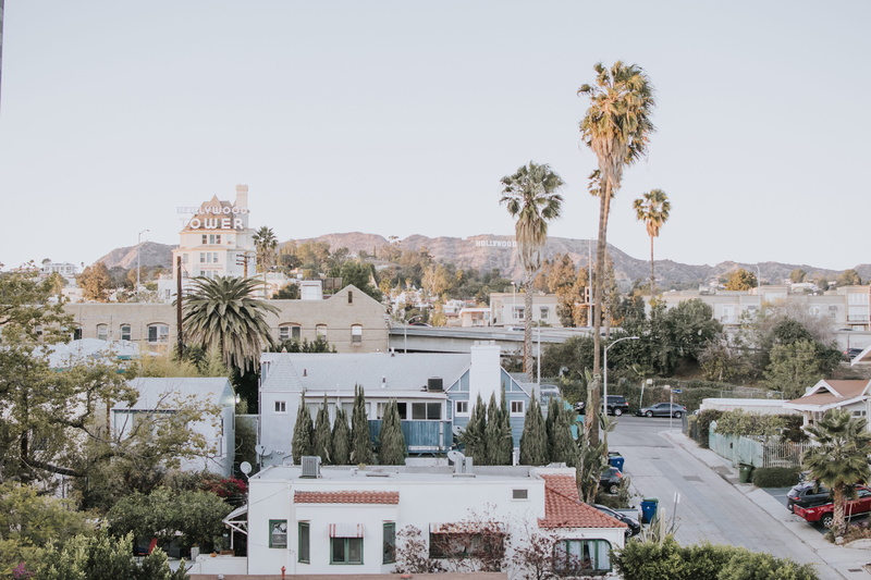 white, water, sky, outdoors, luxury, houses, house, road, concrete, near, leaf, land, no people, clear sky, city, palm tree, trees, nature, 5K, street