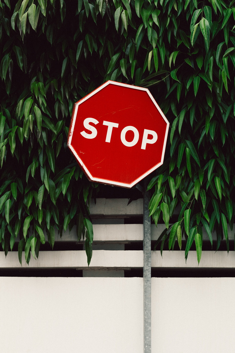 nature, street sign, traffic sign, plant part, stop, western script, road, road sign, white, closeup, close-up, signage, growth, information, minimal, leaf