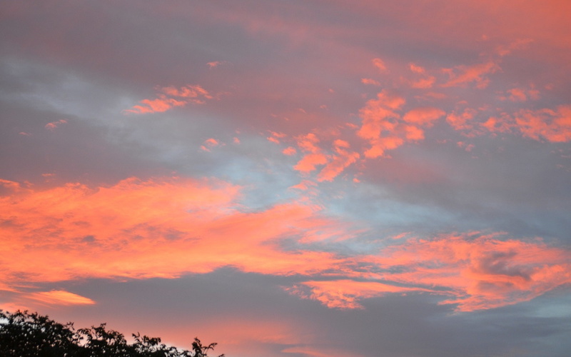 Sunset, Sky, Bushfire, Earth, 1080P, Cloud