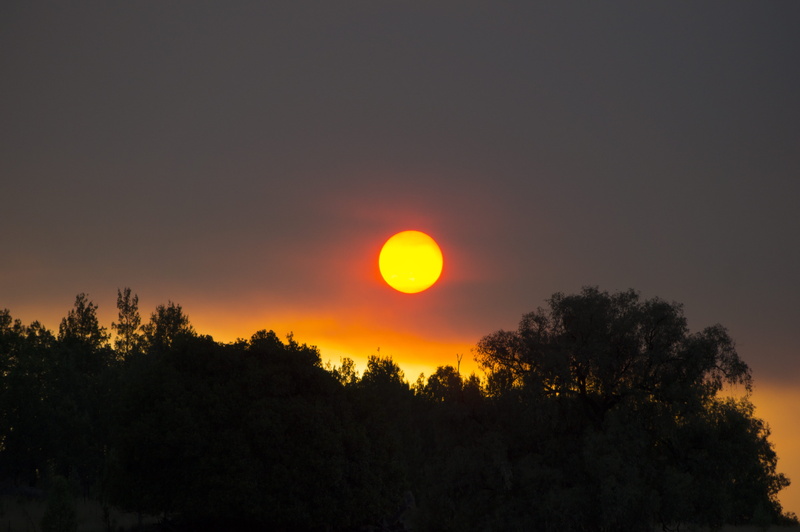 outdoors, eclipse, tree, tranquil scene, bushfire, circle, nature, idyllic, growth, no people, non-urban scene, 4K, australia, majestic, plant, blood red sunset