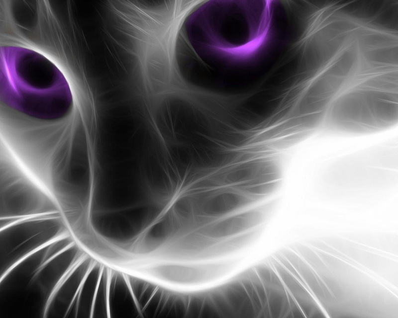 people, purple, science, arts culture and entertainment, illuminated, light - natural phenomenon, curve, abstract, shape, pollution, cat animals artwork