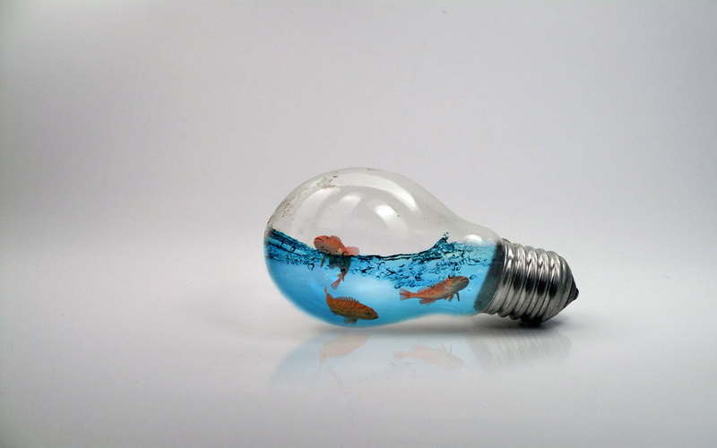 still life, business, no people, silver colored, reflection, photo manipulation, indoors, cut out, blue, studio shot, single object, light, finance, inspiration