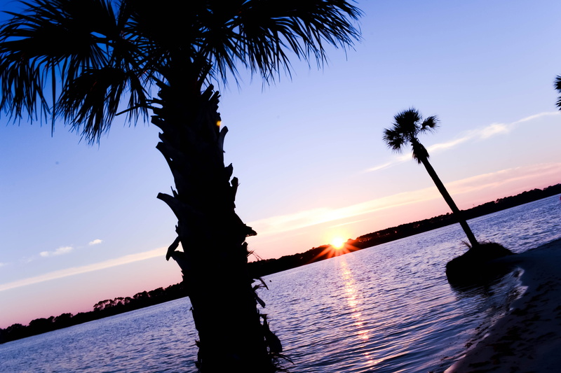 sea, hotel, gulf of mexico, bright, beach, tree, united states, summer, tropical climate, scenics - nature, coconut palm tree, 4K, sun, no people, happy