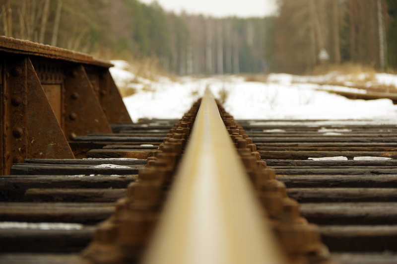 railroad track, no people, vanishing point, nature, the way forward, plant, day, transportation, close-up, tree, rust, metal, diminishing perspective, rails