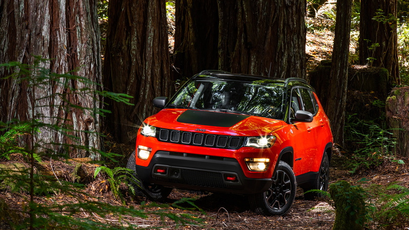 car, Compass, mode of transportation, growth, motor vehicle, trunk, day, red, forest, Jeep, travel, no people, Trailhawk, transportation, nature, outdoors