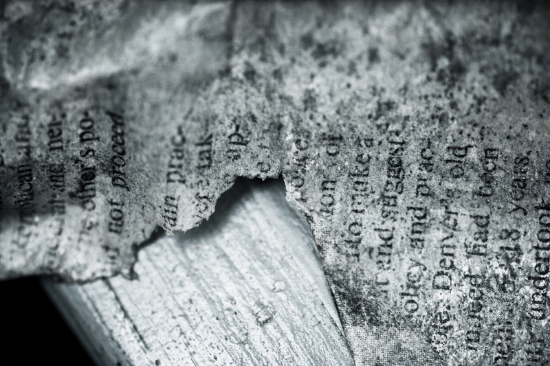 pattern, no people, wood - material, scribble, old, piece, vintage, textured, white, focus on foreground, paper, writing, bark, close-up, tree, nature