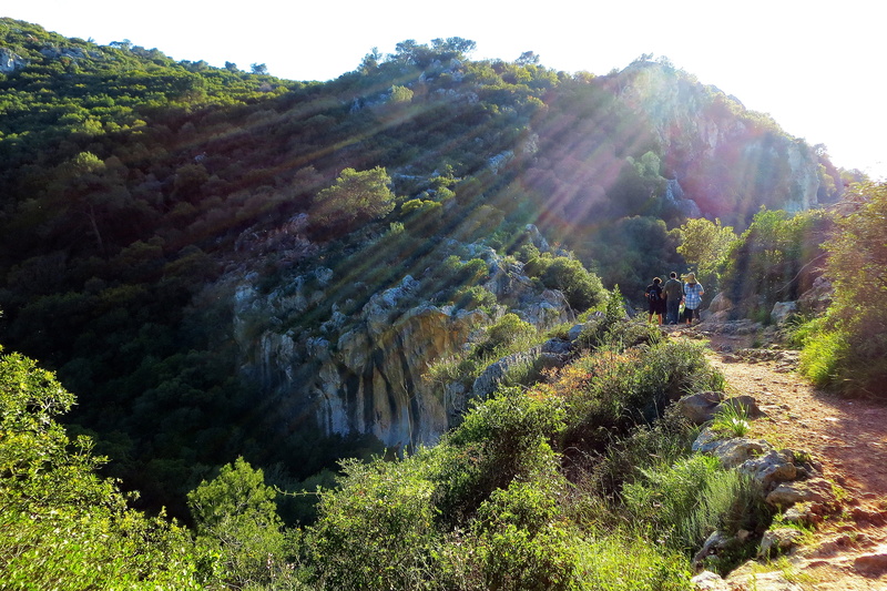 growth, plant, middleeast, tranquility, sky, nature, sunflare, non-urban scene, golan heights, sun, israel, scenics - nature, 2K, environment, no people
