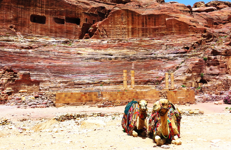 sitting, stone, archaeology, ancient, history, architecture, near, sand, jordan, rock - object, camel, photo, desert, solid, non-urban scene, rock, brick