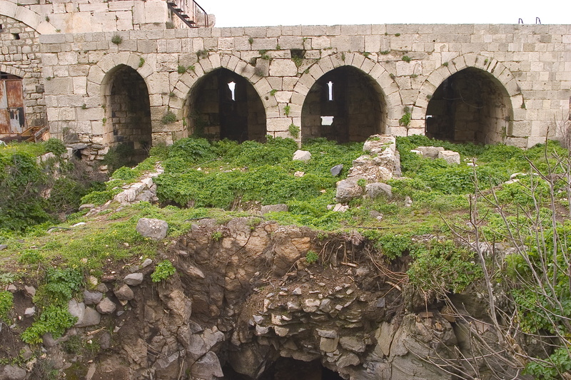 the past, history, plant, architecture, old, arched, 2K, nature, growth, no people, crusader, krak of chevaliers, syria, ancient cities, ancient civilization