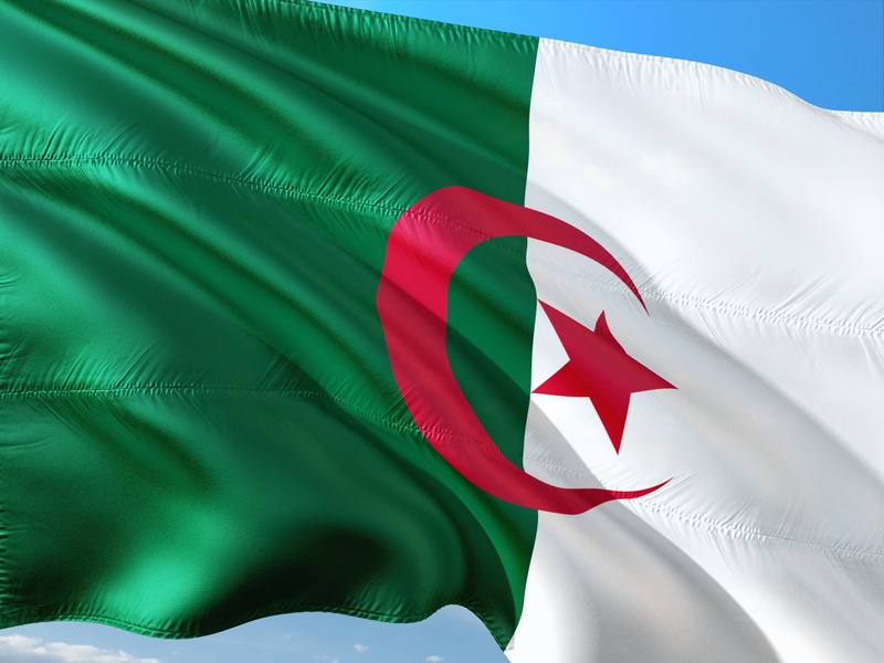 nature, red, waving, green color, environment, close-up, flag, sky, freedom, symbol, leaf, textile, international, no people, wind, algeria, national icon