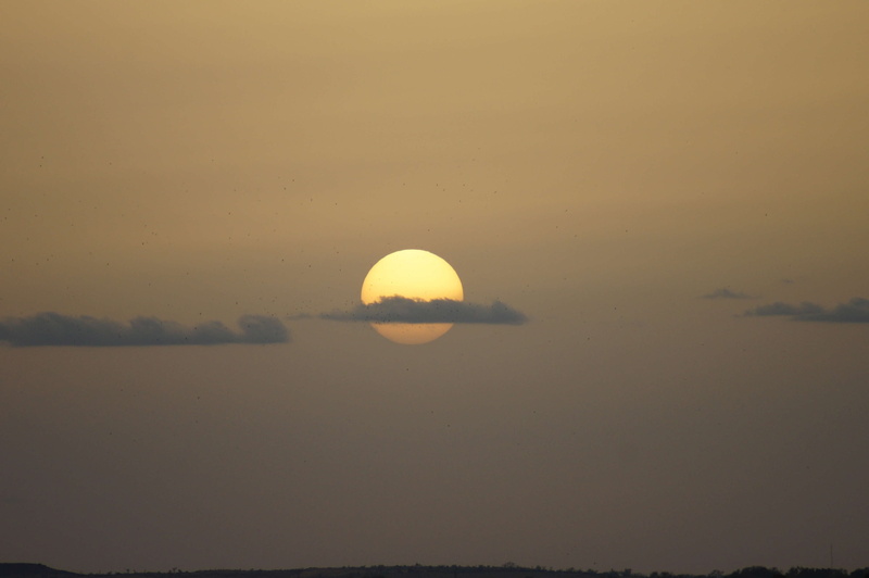space, sunset, cloud - sky, nature, no people, moon, scenics - nature, twilight, tranquility, niamey, evening, water, outdoors, sun, birds, light, idyllic