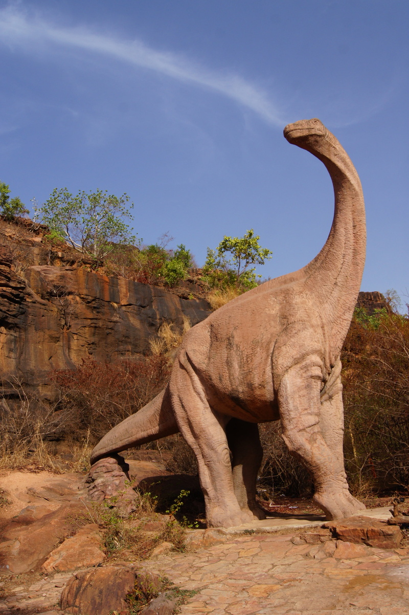 day, nature, no people, bamako, animal wildlife, mammal, solid, animals in the wild, animal themes, radius, land, mali, climate, giant, dinosaur, rock