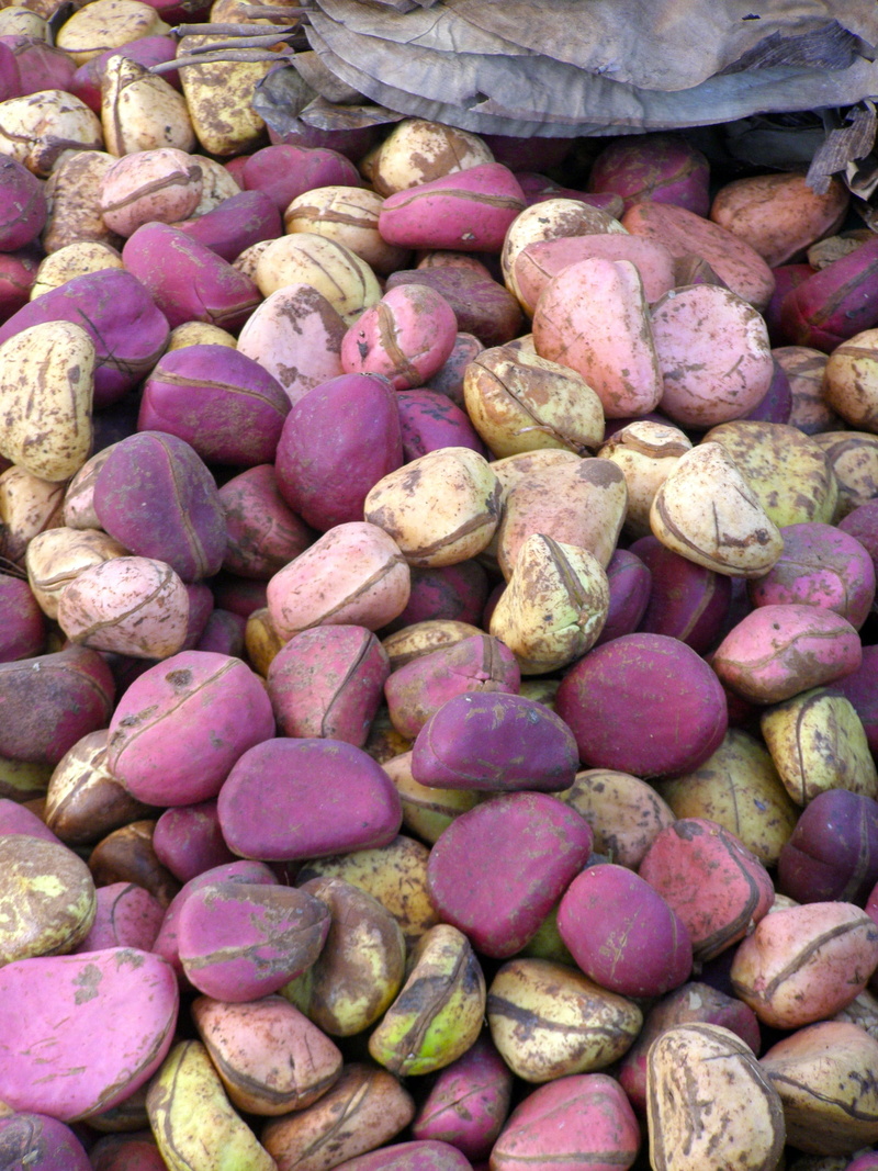 food and drink, outdoors, heap, retail, africa, 2K, abundance, choice, wellbeing, djenne, purple, full frame, freshness, travel, healthy eating, market stall