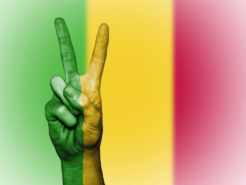 symbol, national, wall - building feature, ensign, colored background, human body part, gesturing, yellow, state, banner, peace, country, nation, colors