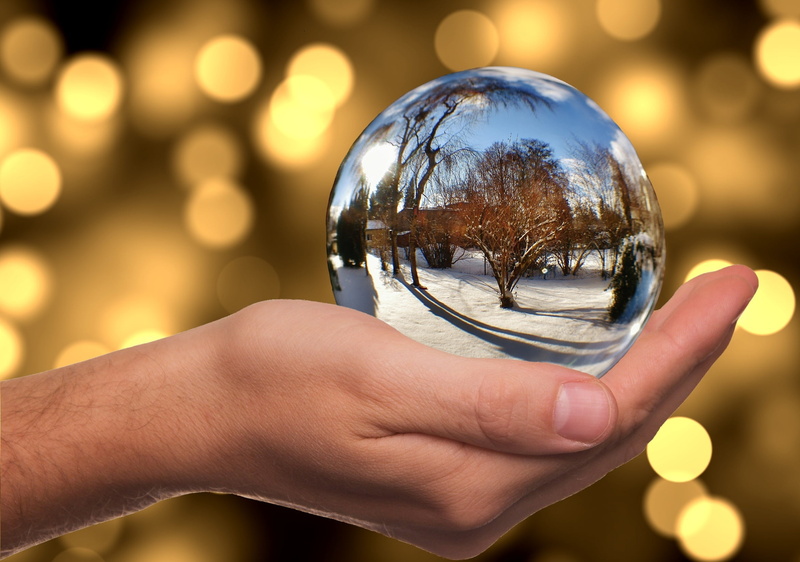 ball, reflection, human hand, mirroring, hand, body part, tree, holding, glass - material, human finger, person, sphere, transparent, outdoors, one person