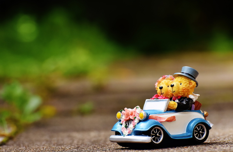 auto, riding, car, toy car, decoration, outdoors, vehicle, fun, motor vehicle, celebrate, transportation, two, funny, cute, bride and groom, greeting card
