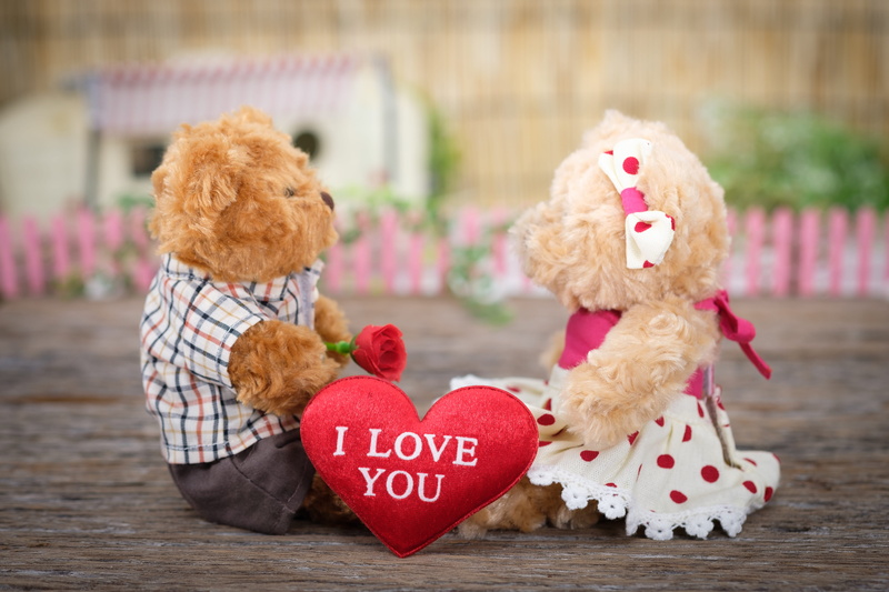 cute, mammal, no people, heart, text, wood, softness, bear, close-up, rose, small, positive emotion, focus, photo, sit, animal themes, miniature, creative
