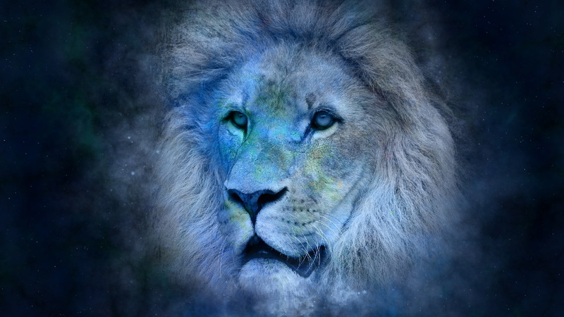 lion, whiskers, carnivoran, terrestrial animal, no people, blue, animal body part, feline, male animal, art, big cats, portrait, wildlife, power in nature