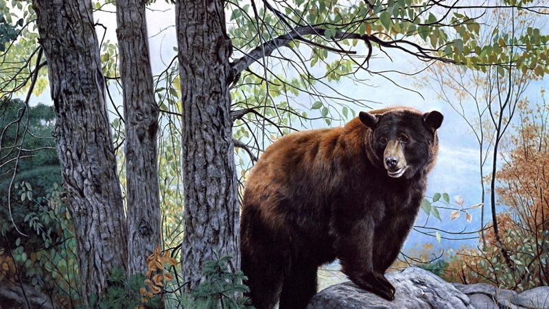 snarling, 4K, aggression, animal themes, wild animal, bear, trunk, animal, vertebrate, painting, tree, art, painting art, warning sign, forest, wilderness