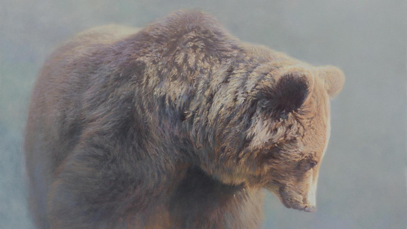 nature, white bear, mist, 1080P, animals, grizzly, wildlife, black bear, grizzly bear, fantasy, cubs