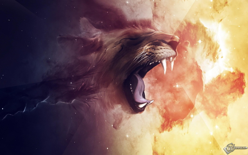 face, 2K, fantasy, texture, lion, 3d and abstract, artistic