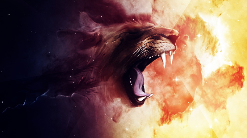 lion Face, cool, 1080P