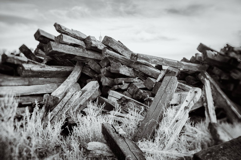 nature, 1080P, low saturation, monochrome, wood, log, photography
