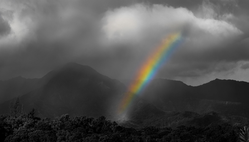 rainbows, selective coloring, low saturation, Hawaii, photography, mist, trees, clouds, landscape, 5K, monochrome
