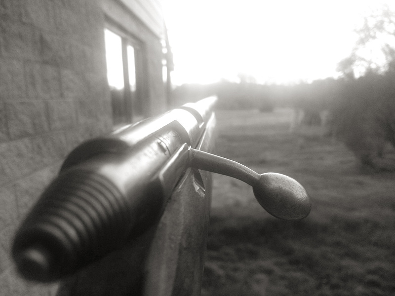 4K, gun, low saturation
