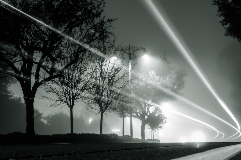 lights, mist, dark, photography, low light, low saturation, street light, trees, road, monochrome, night, light trails, 5K