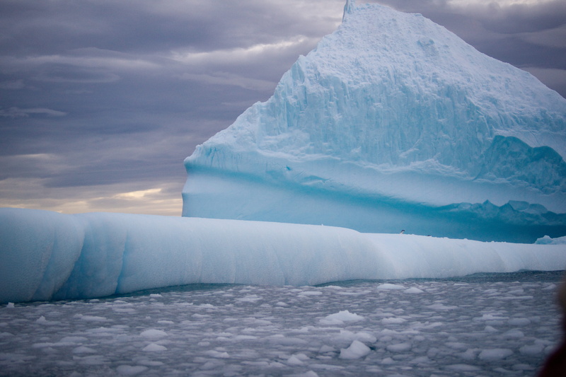 landscape, snow, tranquility, environment, beauty in nature, scenics - nature, glacier, colours, purple, no people, antartica, floating on water, powder snow