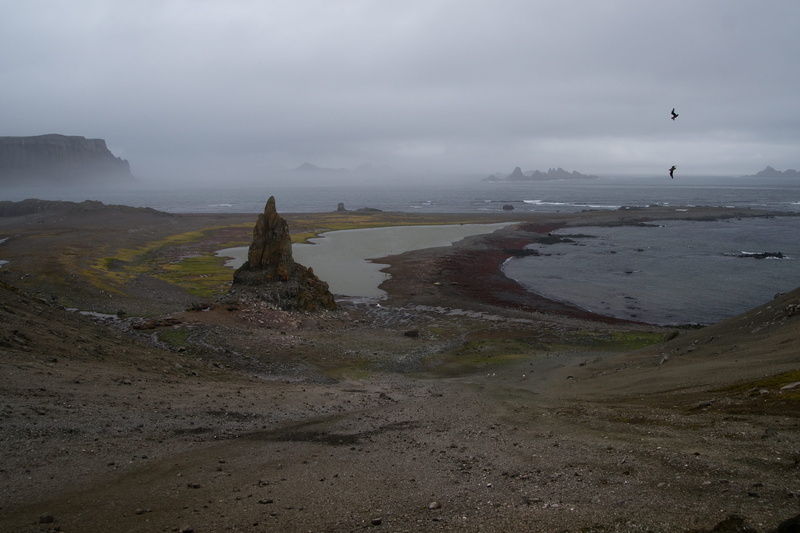 antarctica, landscape, fog, coastline, beauty in nature, grey, tranquility, mist, water, 4K, mystic, day, non-urban scene, dark, shore, beach, cloud - sky